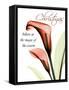 Christmas Calla Lily-Albert Koetsier-Framed Stretched Canvas