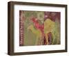 Christmas Camel-Cora Niele-Framed Giclee Print