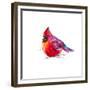 Christmas Cardinal I-Patricia Pinto-Framed Premium Giclee Print