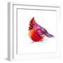 Christmas Cardinal I-Patricia Pinto-Framed Premium Giclee Print