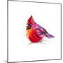 Christmas Cardinal I-Patricia Pinto-Mounted Premium Giclee Print