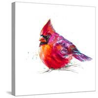 Christmas Cardinal I-Patricia Pinto-Stretched Canvas