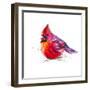 Christmas Cardinal I-Patricia Pinto-Framed Art Print