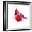 Christmas Cardinal I-Patricia Pinto-Framed Art Print