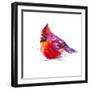 Christmas Cardinal I-Patricia Pinto-Framed Art Print