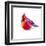 Christmas Cardinal I-Patricia Pinto-Framed Art Print