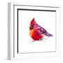 Christmas Cardinal I-Patricia Pinto-Framed Art Print