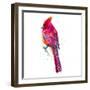 Christmas Cardinal II-Patricia Pinto-Framed Art Print