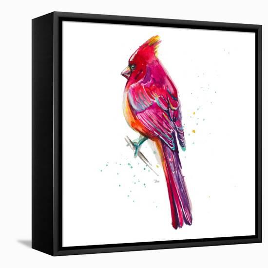 Christmas Cardinal II-Patricia Pinto-Framed Stretched Canvas