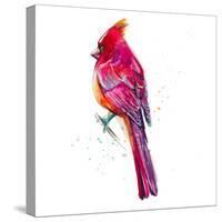 Christmas Cardinal II-Patricia Pinto-Stretched Canvas