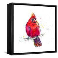 Christmas Cardinal III-Patricia Pinto-Framed Stretched Canvas