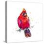 Christmas Cardinal III-Patricia Pinto-Stretched Canvas