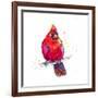 Christmas Cardinal III-Patricia Pinto-Framed Art Print