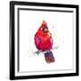 Christmas Cardinal III-Patricia Pinto-Framed Art Print