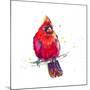 Christmas Cardinal III-Patricia Pinto-Mounted Art Print