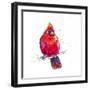 Christmas Cardinal III-Patricia Pinto-Framed Art Print