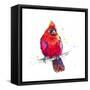 Christmas Cardinal III-Patricia Pinto-Framed Stretched Canvas