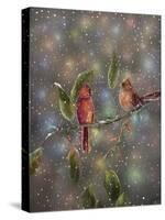 Christmas Cardinal-Sarah Davis-Stretched Canvas