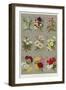 Christmas Cards-Polly Clarke-Framed Giclee Print