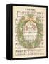 Christmas Carol Holly II-Andi Metz-Framed Stretched Canvas