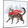 Christmas Cats & Dogs I-Victoria Borges-Mounted Art Print
