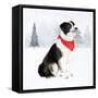 Christmas Cats & Dogs II-Victoria Borges-Framed Stretched Canvas