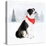 Christmas Cats & Dogs II-Victoria Borges-Stretched Canvas