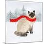Christmas Cats & Dogs III-Victoria Borges-Mounted Art Print