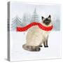 Christmas Cats & Dogs III-Victoria Borges-Stretched Canvas