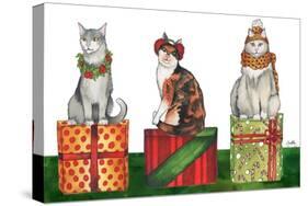 Christmas Cats-Elizabeth Medley-Stretched Canvas