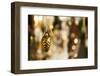 Christmas, Christmas fair, Christmas decoration, cone, golden,-Christine Meder stage-art.de-Framed Photographic Print