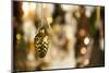 Christmas, Christmas fair, Christmas decoration, cone, golden,-Christine Meder stage-art.de-Mounted Photographic Print