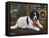 Christmas Companion-Jeff Tift-Framed Stretched Canvas