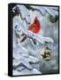 Christmas Companion-Wilhelm Goebel-Framed Stretched Canvas