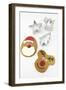 Christmas Cookies and Cookie Cutters-null-Framed Photographic Print