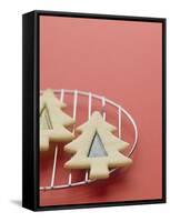 Christmas Cookies on a Cooling Rack-Patrick Norman-Framed Stretched Canvas