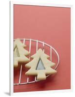 Christmas Cookies on a Cooling Rack-Patrick Norman-Framed Photographic Print