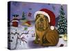 Christmas Crash-Leah Saulnier-Stretched Canvas