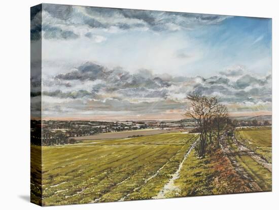 Christmas Day on the Downs, 1997-Margaret Hartnett-Stretched Canvas