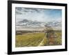 Christmas Day on the Downs, 1997-Margaret Hartnett-Framed Giclee Print