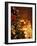 Christmas Decor at Trump Tower, New York, New York, USA-Michele Westmorland-Framed Photographic Print