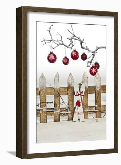 Christmas Decoration and Decoration Fence-Andrea Haase-Framed Photographic Print