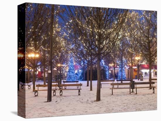 Christmas Decoration at Old Town Square's Park at Twilight, Stare Mesto, Prague, Czech Republic-Richard Nebesky-Stretched Canvas