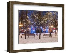 Christmas Decoration at Old Town Square's Park at Twilight, Stare Mesto, Prague, Czech Republic-Richard Nebesky-Framed Photographic Print