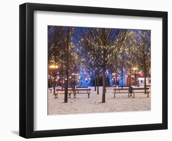 Christmas Decoration at Old Town Square's Park at Twilight, Stare Mesto, Prague, Czech Republic-Richard Nebesky-Framed Photographic Print