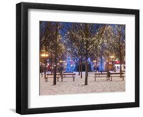 Christmas Decoration at Old Town Square's Park at Twilight, Stare Mesto, Prague, Czech Republic-Richard Nebesky-Framed Photographic Print