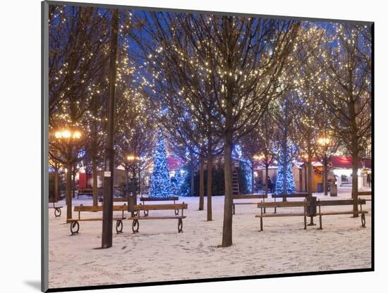 Christmas Decoration at Old Town Square's Park at Twilight, Stare Mesto, Prague, Czech Republic-Richard Nebesky-Mounted Photographic Print