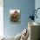 Christmas Decoration: Fruit, Nuts, Cones and Box Wreath-null-Stretched Canvas displayed on a wall