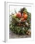 Christmas Decoration: Fruit, Nuts, Cones and Box Wreath-null-Framed Photographic Print