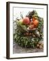 Christmas Decoration: Fruit, Nuts, Cones and Box Wreath-null-Framed Photographic Print